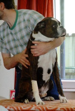 Teilnehmer am Lehrgang