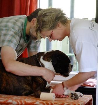 Teilnehmer am Lehrgang