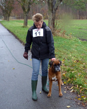 Iris Lindstedt Iris Lindstedt